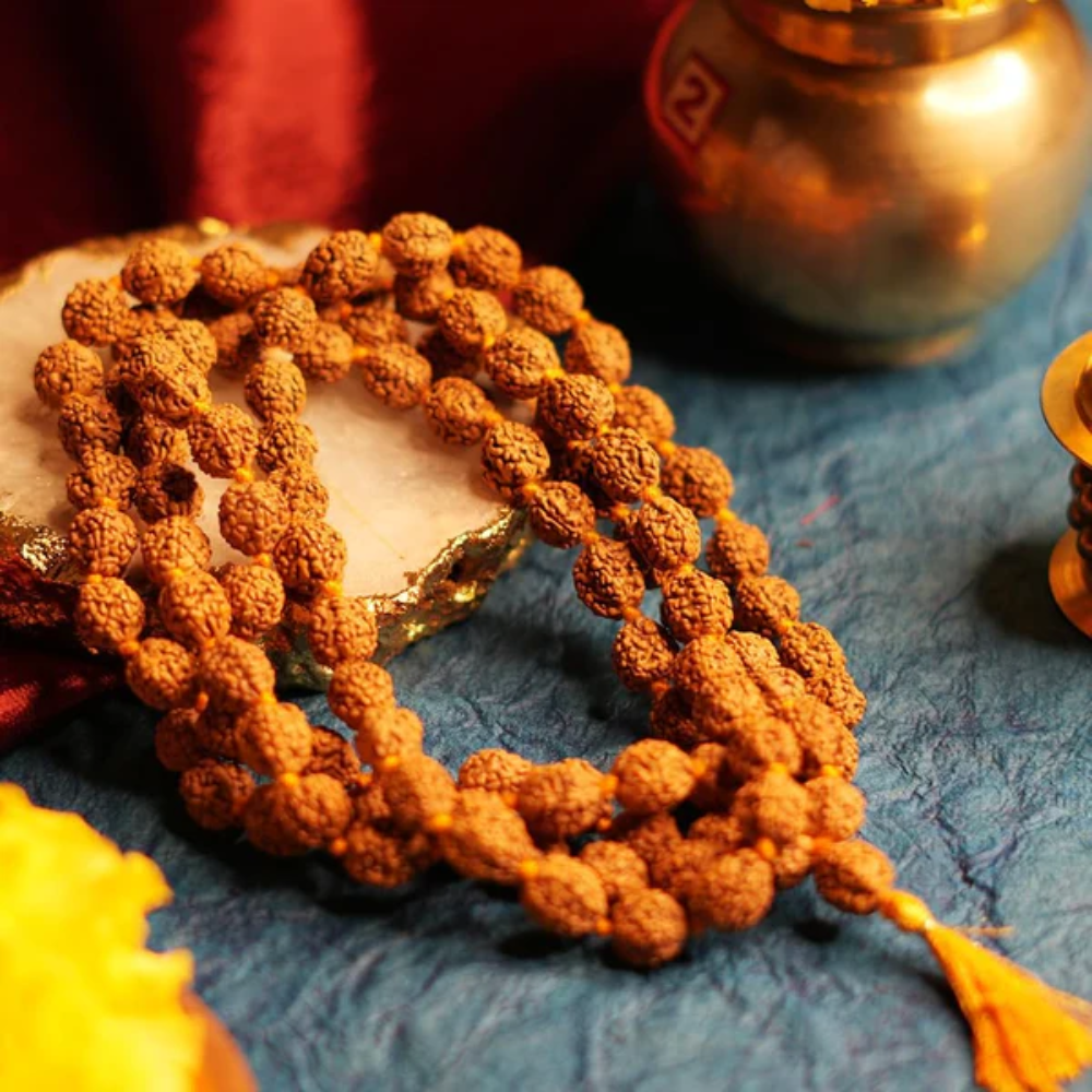 Rudraksha