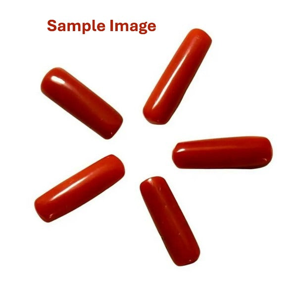 Natural Coral Moonga Gemstone | Original Red Coral Stone | Mars Birthstone for Astrological Benefits
