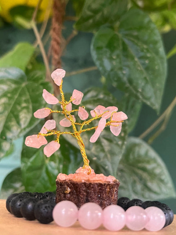 Rose Quartz Tree & Bracelet Set - Perfect Diwali Gift for Love & Emotional Healing | Free Shipping