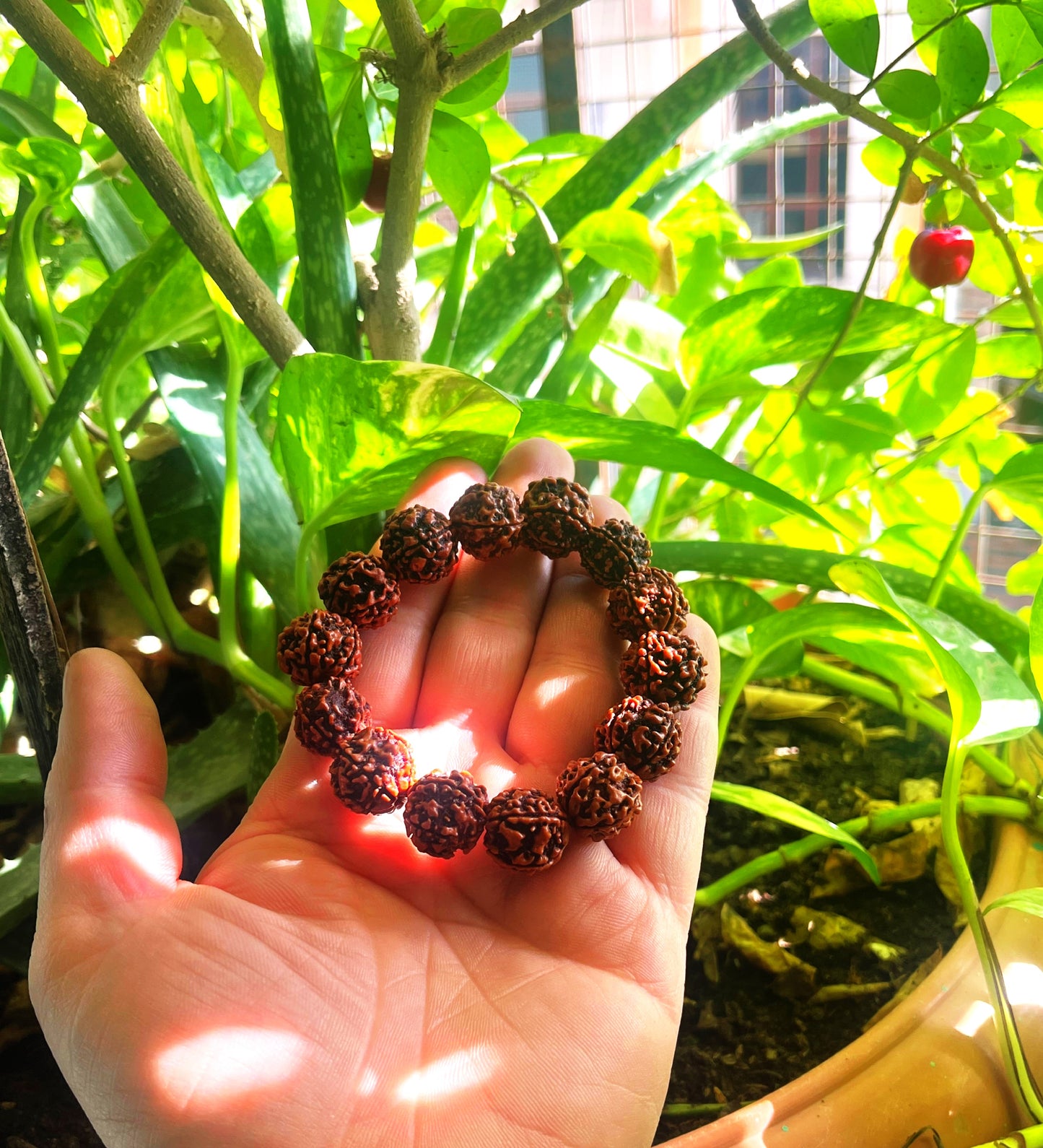 5 Mukhi Rudraksha Bracelet for Men - 15-18mm Original Beads | Divine Healing & Spiritual Protection