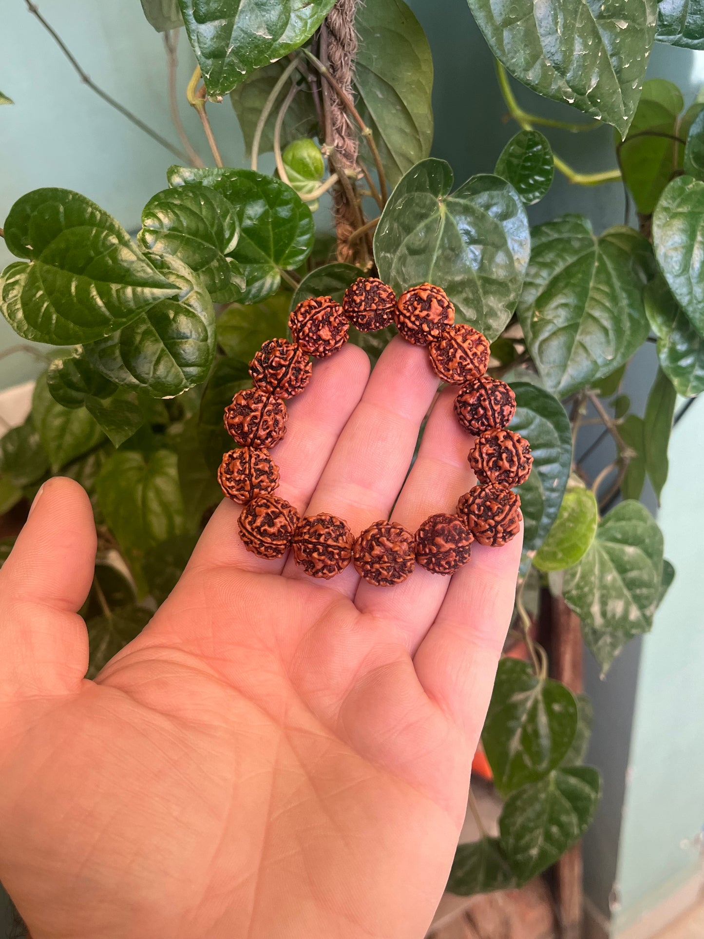 5 Mukhi Rudraksha Bracelet for Men - 15-18mm Original Beads | Divine Healing & Spiritual Protection