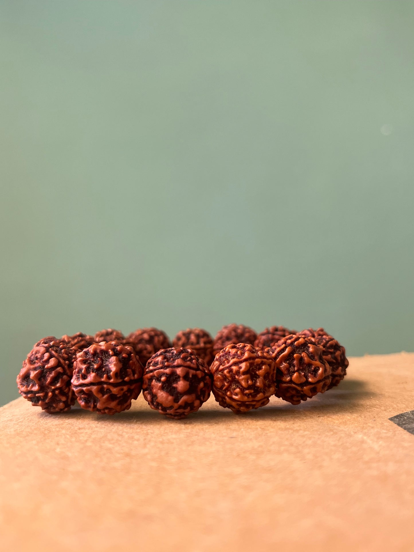 5 Mukhi Rudraksha Bracelet for Men - 15-18mm Original Beads | Divine Healing & Spiritual Protection
