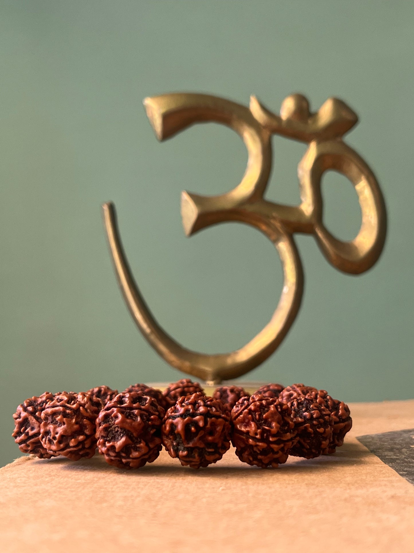 5 Mukhi Rudraksha Bracelet for Men - 15-18mm Original Beads | Divine Healing & Spiritual Protection