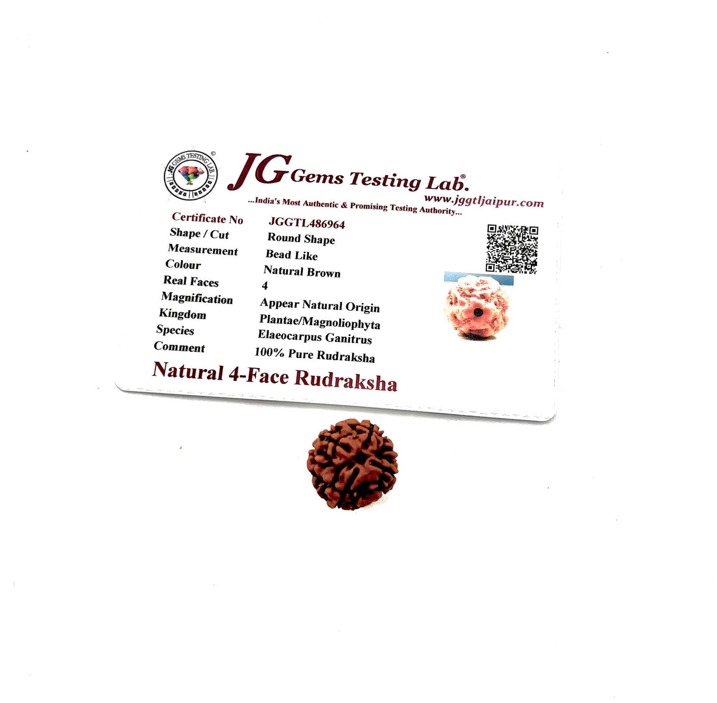 Original 5 mukhi rudraksha bead for health prosperity and Lord Shiva blessing