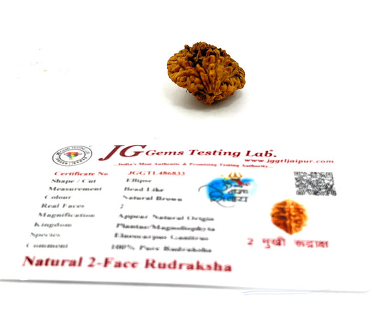 Rudraksha bead with JG Gems Testing Lab certification on a white background