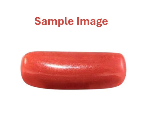 Natural Coral Moonga Gemstone | Original Red Coral Stone | Mars Birthstone for Astrological Benefits