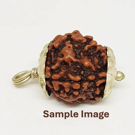Original 3 mukhi rudraksha bead for fire element Mars energy and spiritual healing