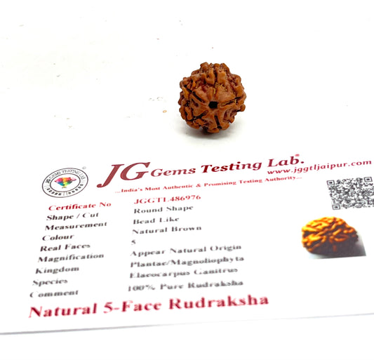 Original 5 mukhi rudraksha bead for health prosperity and Lord Shiva blessing