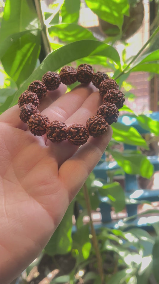 5 Mukhi Rudraksha Bracelet for Men - 15-18mm Original Beads | Divine Healing & Spiritual Protection